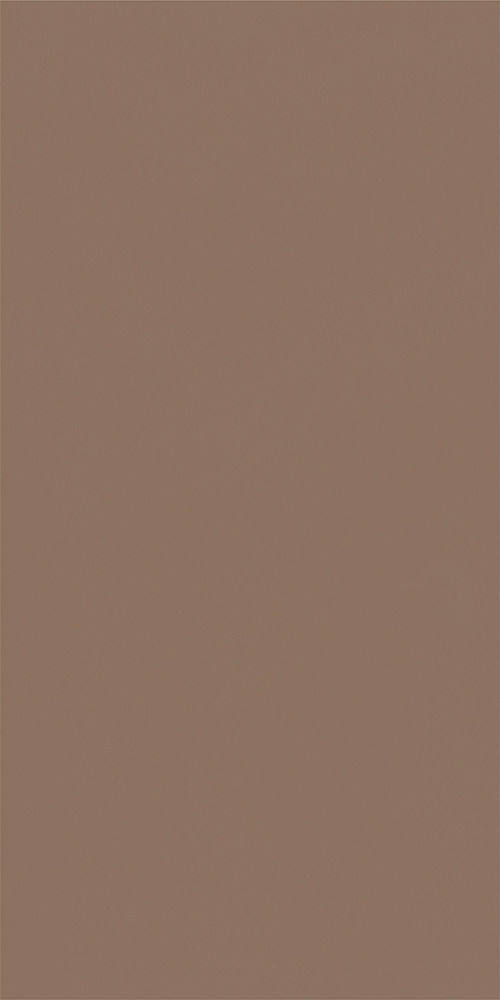 凡戴克棕-TWX612506