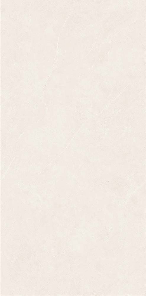 弗洛斯-TWM48121GT