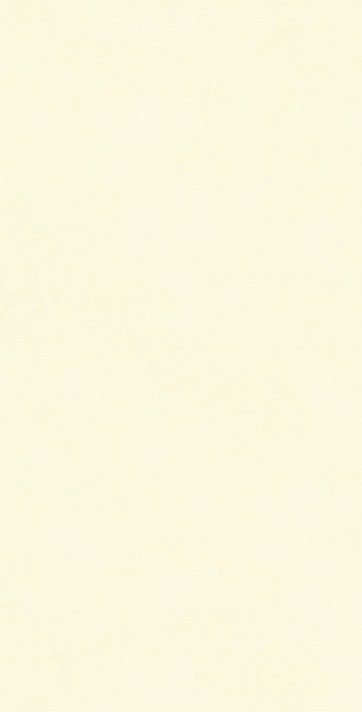 奶油黃-TWM612802S